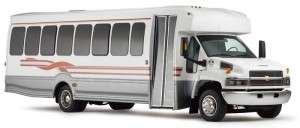 28 Passenger Party Bus Limousine
